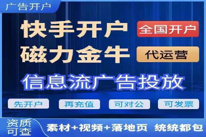 案例解读：SEM代理助力电商销量翻倍